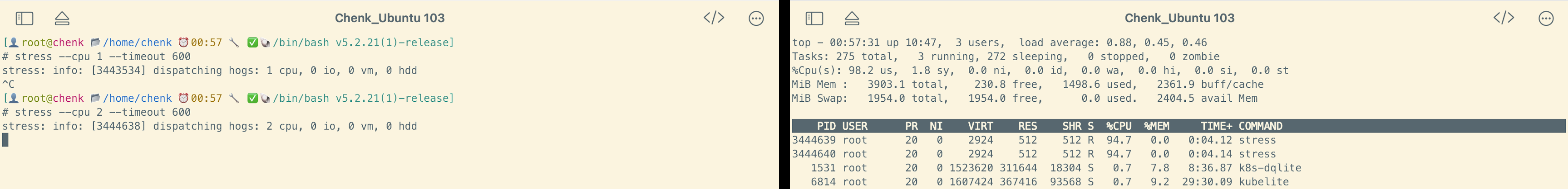 image-20250208005755365